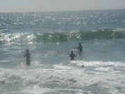 Humphreys 0835.JPG